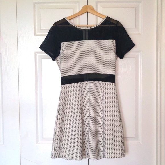 Black and White Mesh and Dotted A Line Dress - Picture 1 of 7